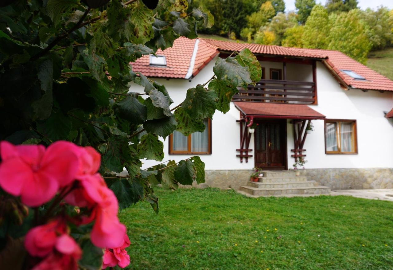 Celestia Camere de Inchiriat Moeciu De Sus Esterno foto